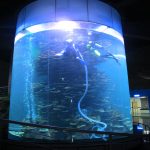 tangki tangki ikan akrilik yang jelas untuk aquarium atau taman laut