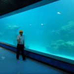 Lapis panel akrilik UV dinding untuk akuarium, lautan