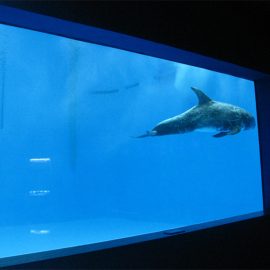 berkualiti tinggi akuarium akrilik besar / kolam tingkap di bawah lembaran tingkap tebal air
