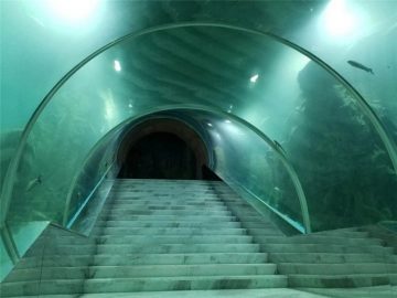 Harga projek akuarium terowong akrilik