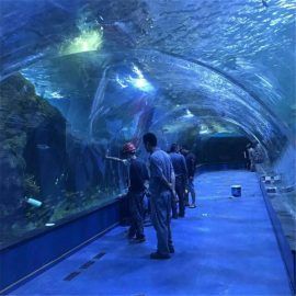 Projek lautan terowong akrilik di akuarium awam