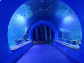 Akuarium terowong akrilik besar yang jelas dengan pelbagai bentuk