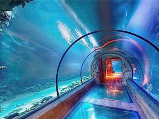 Akuarium akrilik reka bentuk moden terowong panjang