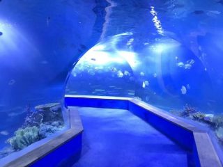 kaca akrilik telus kaca akuarium terowong